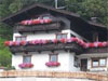 Kogler Anni